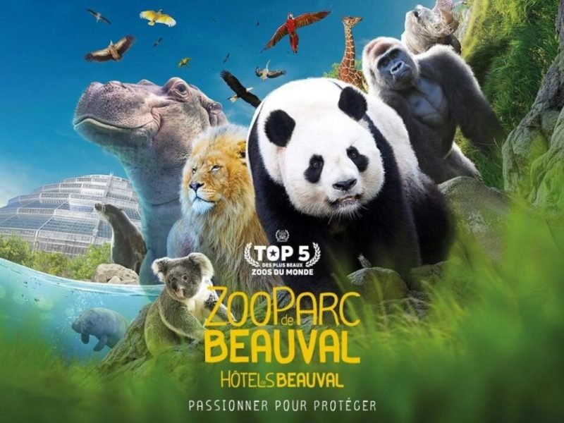 Zoo de Beauval Location près du zoo de beauval, location saisonnière blois, loir et cher, 41